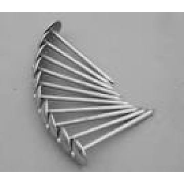 Common Umbrella Roofing Nail